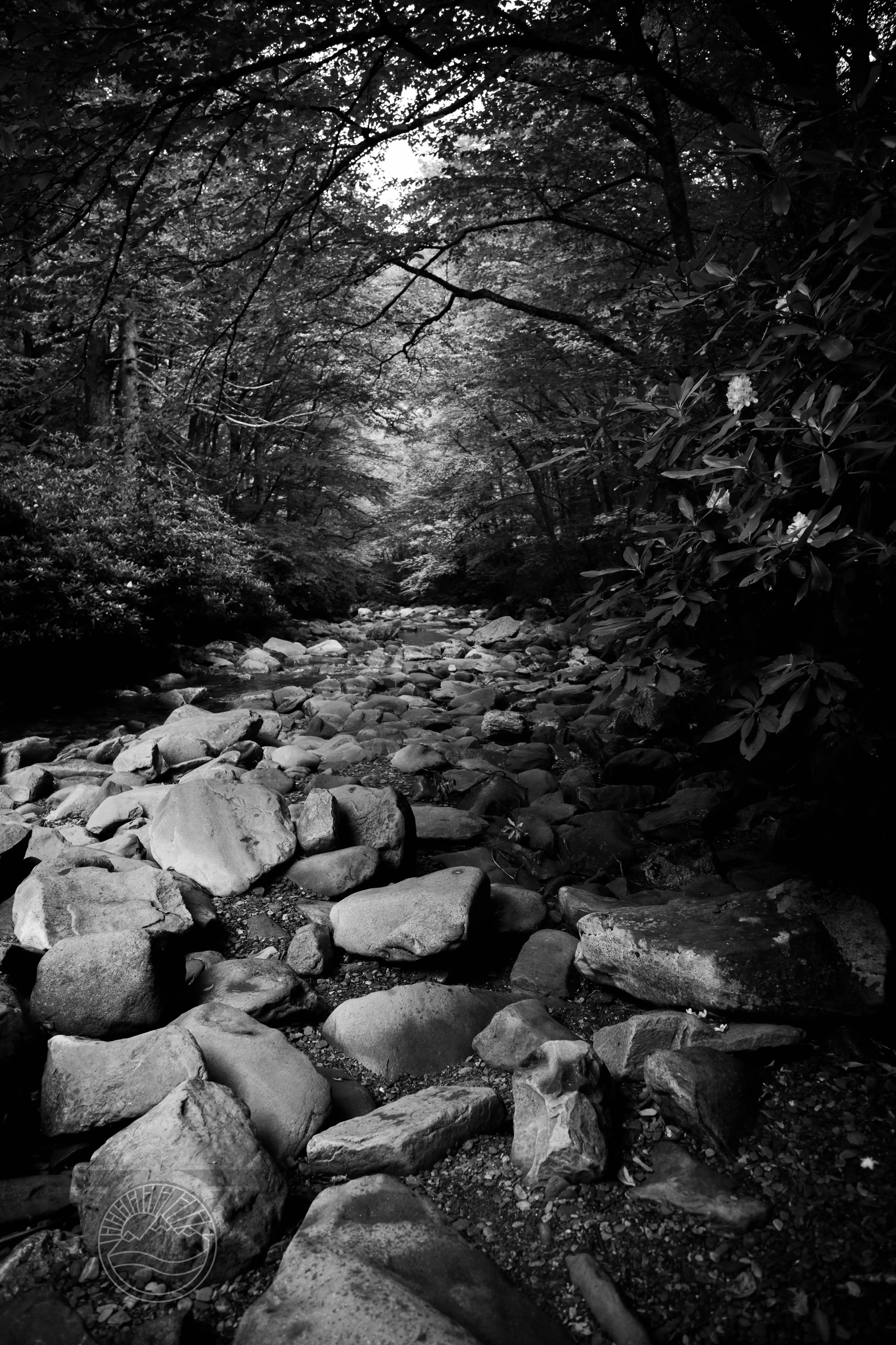 Stone Silence